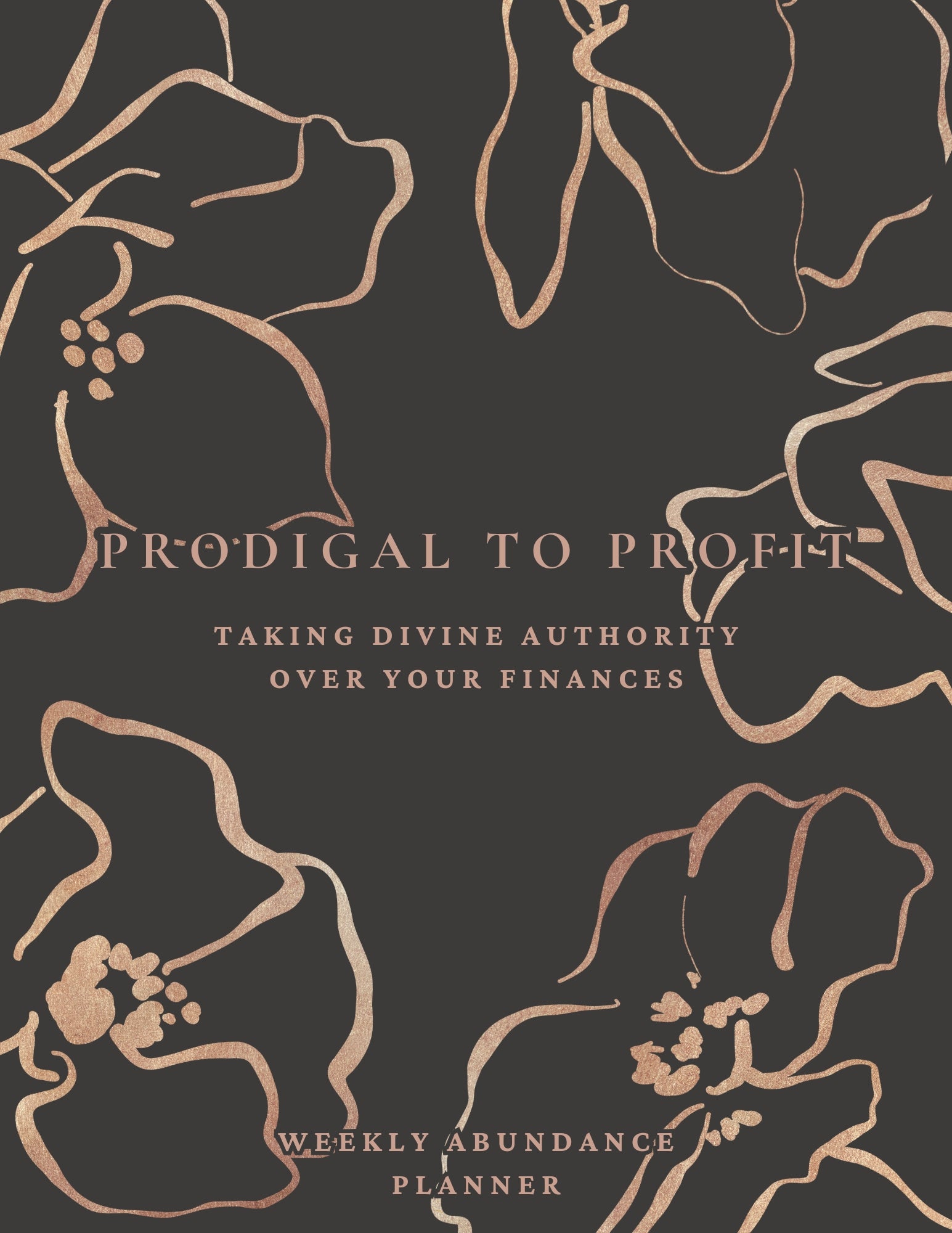 Prodigal to Profit: Taking Divine Authority Over Your Finances